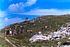 1990 096 Timau 07.jpg