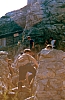 1990 098 Timau 07.jpg