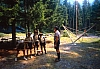 1990 111 Timau 07.jpg