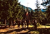 1990 116 Timau 07.jpg