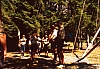 1990 117 Timau 07.jpg