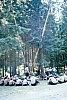 1990 131 Timau 07.jpg