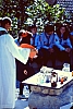 _barcis  accant coccinelle marianna 3.jpg