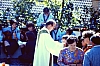 _barcis  accant coccinelle marianna 4.jpg