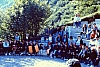barcis  accant coccinelle marianna 1.jpg