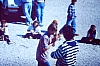 barcis  accant coccinelle marianna 17.jpg