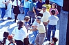 barcis  accant coccinelle marianna 21.jpg