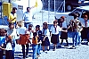 barcis  accant coccinelle marianna 23.jpg