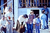 barcis  accant coccinelle marianna 25.jpg
