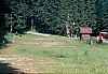 1991 033 Prato C 13 07.jpg