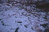 1991 047 Prato C 13 07.jpg