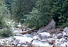 1991 068 Prato C 13 07.jpg