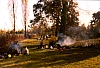 1991 096 Vascon 10 11.jpg