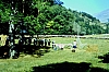 1992_FSE - Campo mobile nazionale rover - Vasto - L'Aquila_01.jpg