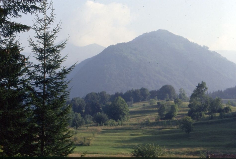 1992 101 Lauco.jpg