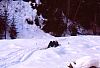 1992 009 V Visdende 02 01.jpg