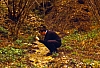 1992 031 Fagarè 04.jpg