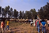 1992 050 Megauscita Negrisia 14 06.jpg
