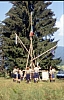 1992 106 Lauco.jpg