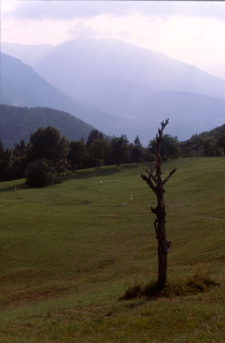 1994 031.jpg