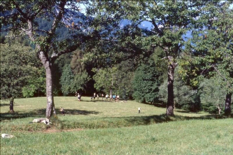 1994 035.jpg