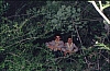 1994 026.jpg