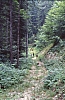 1994 027.jpg