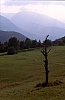 1994 031.jpg