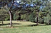 1994 035.jpg