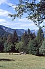 1994 036.jpg