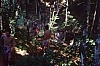 1994 046.jpg