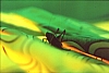 1994 051.jpg
