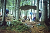 smontaggio campo guide a plokenhaus 7.jpg