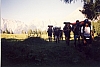 1998 Clan nuova strada sPioX-TV2°- campo mobile Pelmo-Civetta - in marcia_1.jpg
