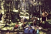 1998 Clan nuova strada sPioX-TV2°- campo mobile Pelmo-Civetta - sosta pranzo.jpg