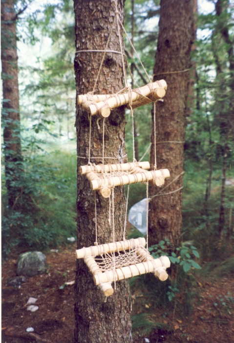 1999 GruppoTV6°RipFontaneCampoTramonti _05.jpg