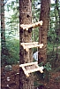 1999 GruppoTV6°RipFontaneCampoTramonti _05.jpg