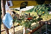 2001 002.jpg