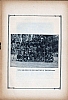 cngei_a_tv-8.jpg
