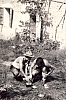 1970 rip s pioX alta sq raid bici TV-montello_8.jpg