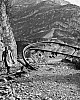Thumbnail of 025soccorsi_allopera.jpg