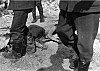 Thumbnail of 032vittime.jpg