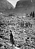 Thumbnail of 050distruzioni.jpg