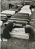 Thumbnail of 33dolore.jpg