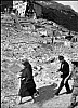 Thumbnail of 37dolore.jpg