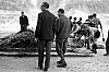 Thumbnail of 42dolore_1.jpg