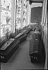 Thumbnail of 57pietà.jpg