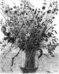 Fiori di campo - 1992