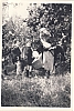 1967 sGiorgio Lupetti - Villa Reali - Casier_  una sestiglia in caccia a una prova.jpg