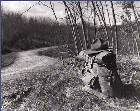 Rover-99.jpg